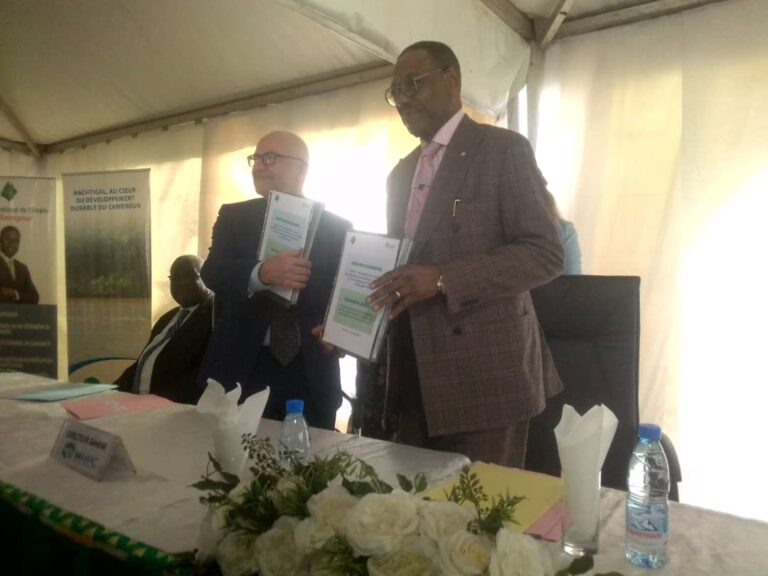 WhatsApp Image 2023-03-20 at 01.57.31