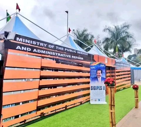 FB_IMG_16903498025339338