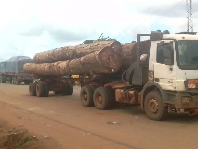 WhatsApp Image 2023-08-24 at 15.03.02