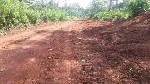 FB_IMG_17392500737839383