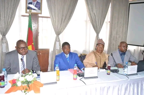 FB_IMG_17458697068865516