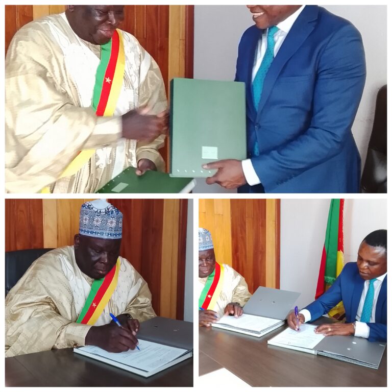 GridArt_20251123_215929108