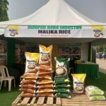 IMG-20251210-WA0264(1)