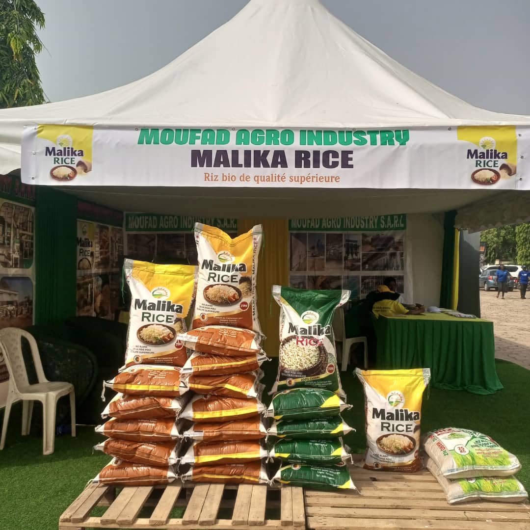 IMG-20251210-WA0264(1)