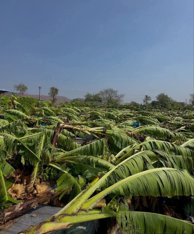 FB_IMG_1772443003501