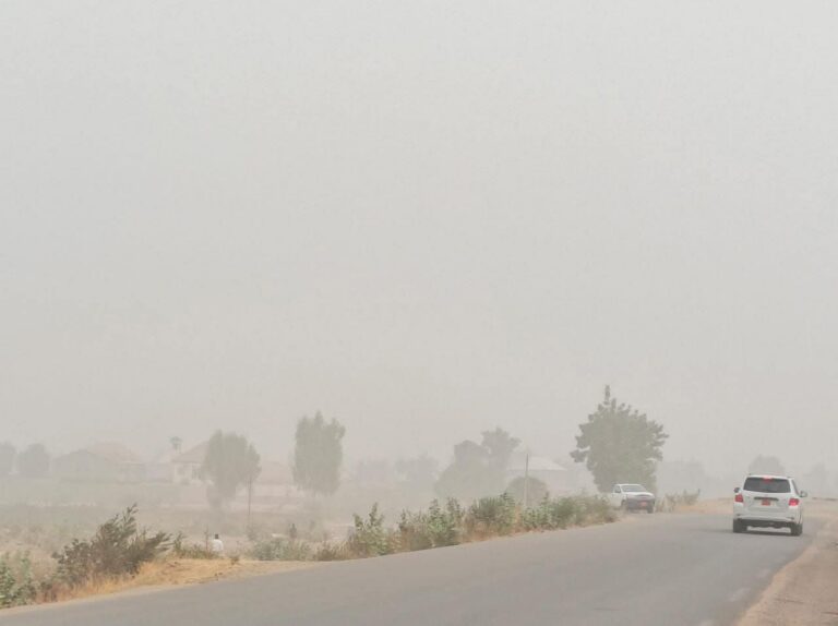 FB_IMG_1772445422238