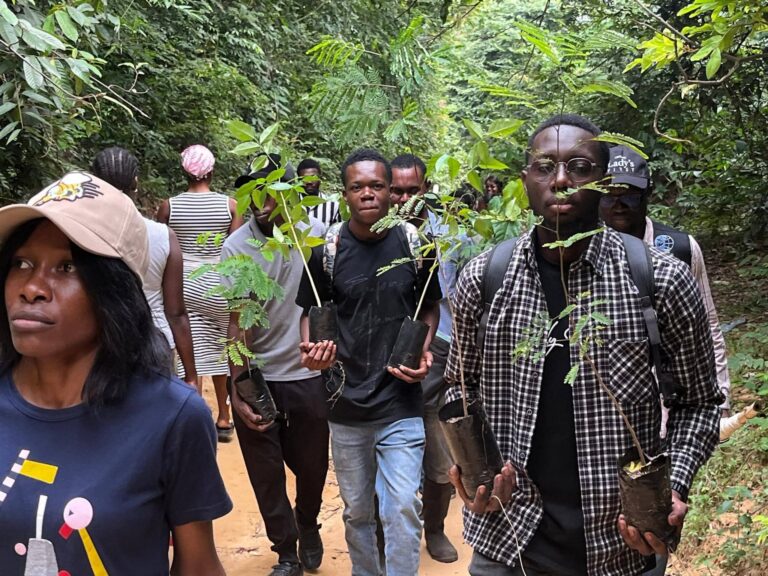 FB_IMG_1772566529541